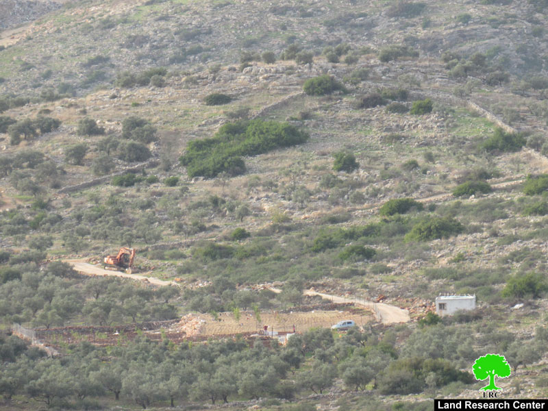 مستعمرون يقطعون أشجار زيتون ويشقون طرق زراعية في خلة حسان ببلدة بديا / محافظة سلفيت