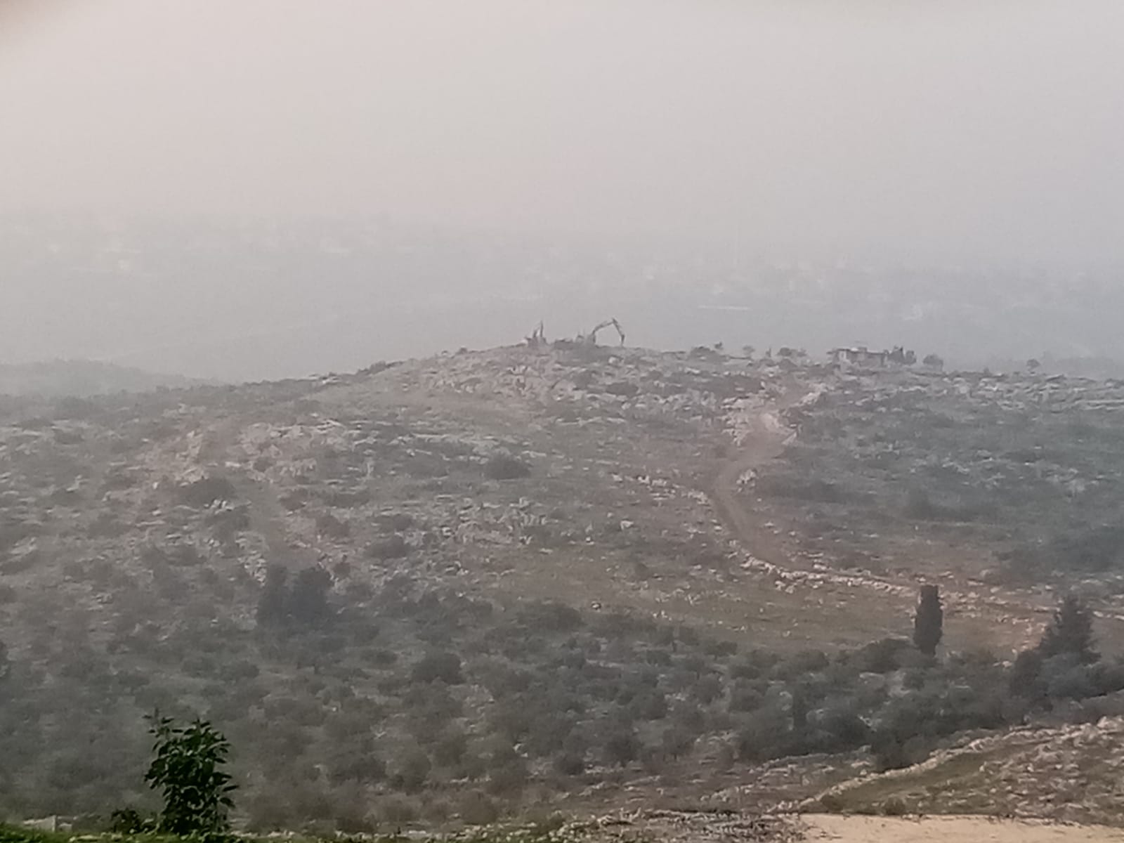 المستعمرون يهدمون غرفة ومعرش زراعي في خلة حسان بمحافظة سلفيت