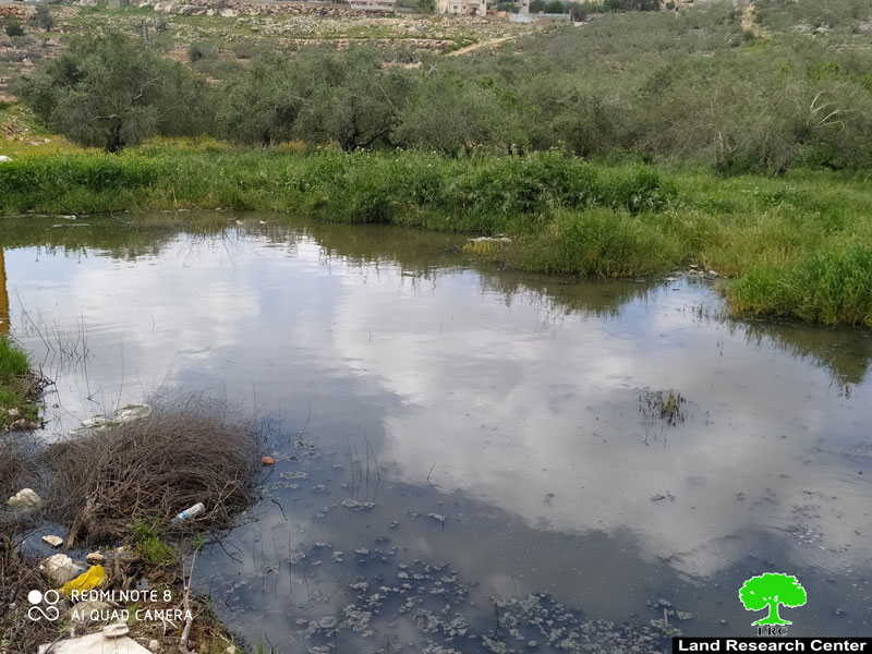 Pumping of large quantities of wastewater in  agricultural fields in Qarawat Bani Hassan / Salfit Governorate