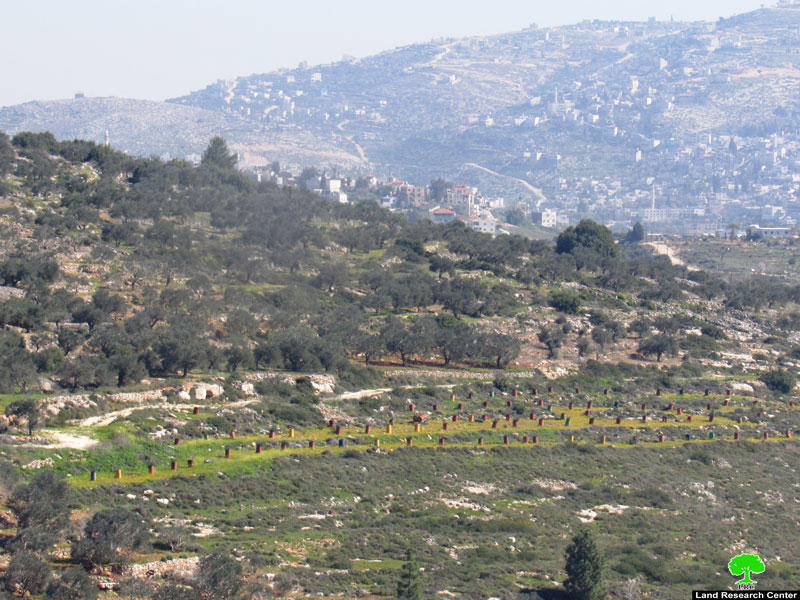 توسعة  البؤرة الاستعمارية ” نفيه نحمياه”  على أراض قرية إسكاكا بمحافظة سلفيت