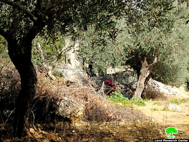 جرافات الاحتلال تهدم غرفتين وجدران استنادية في بلدة بتير بمحافظة بيت لحم