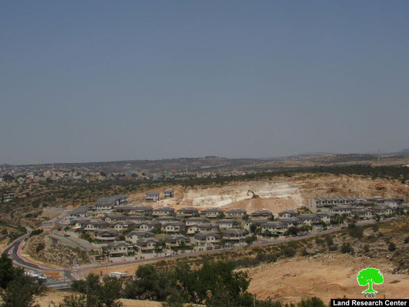 The Israeli Occupation Authorities Ravage Vast areas of Mas-ha land/ Salfit Governorate