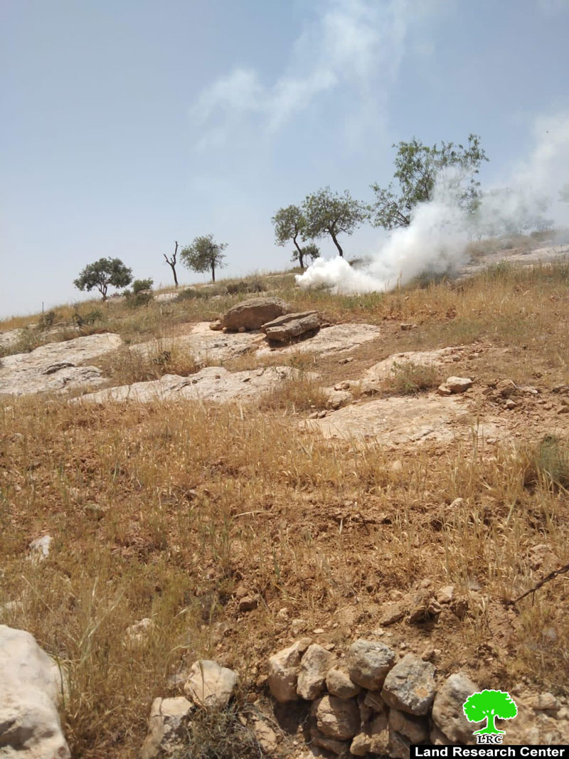 Colonists Are Carrying Out Attacks in At-Tawani and Al-Mufqara villages in Masafer Yatta / South Hebron