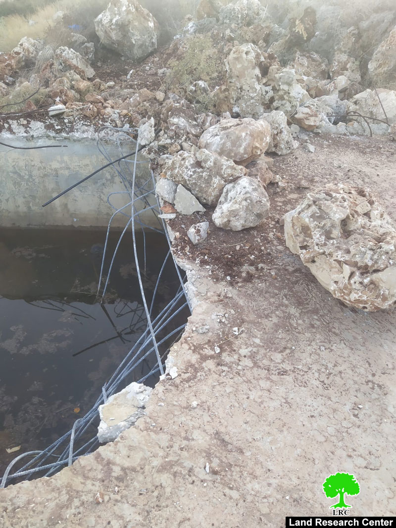 اقتلاع 95 غرسة زيتون وهدم بئراً للمياه وسناسل حجرية في قرية كفر الديك / محافظة سلفيت