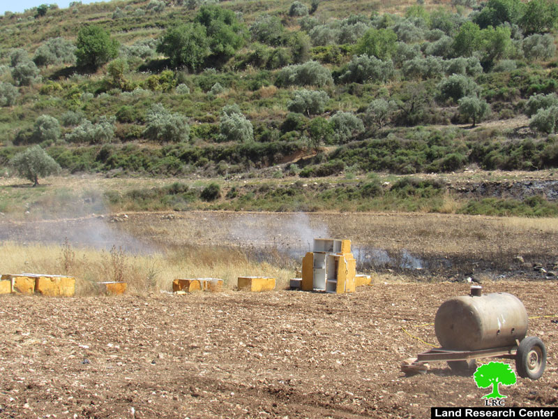 The Occupation Forces Set flames to Wheat Fields in Immatain village / Qalqilya Governorate