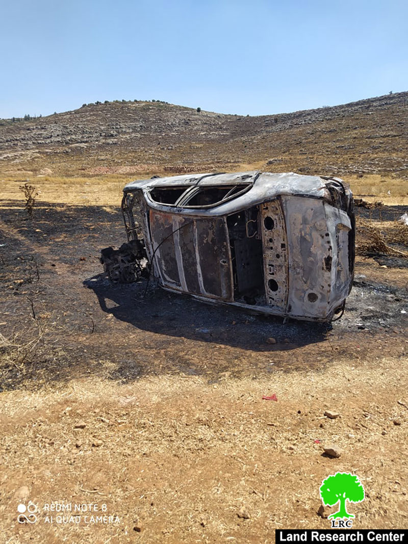 Radical Colonists Attack Palestinian Properties in Turmus’ayya / Ramallah Governorate
