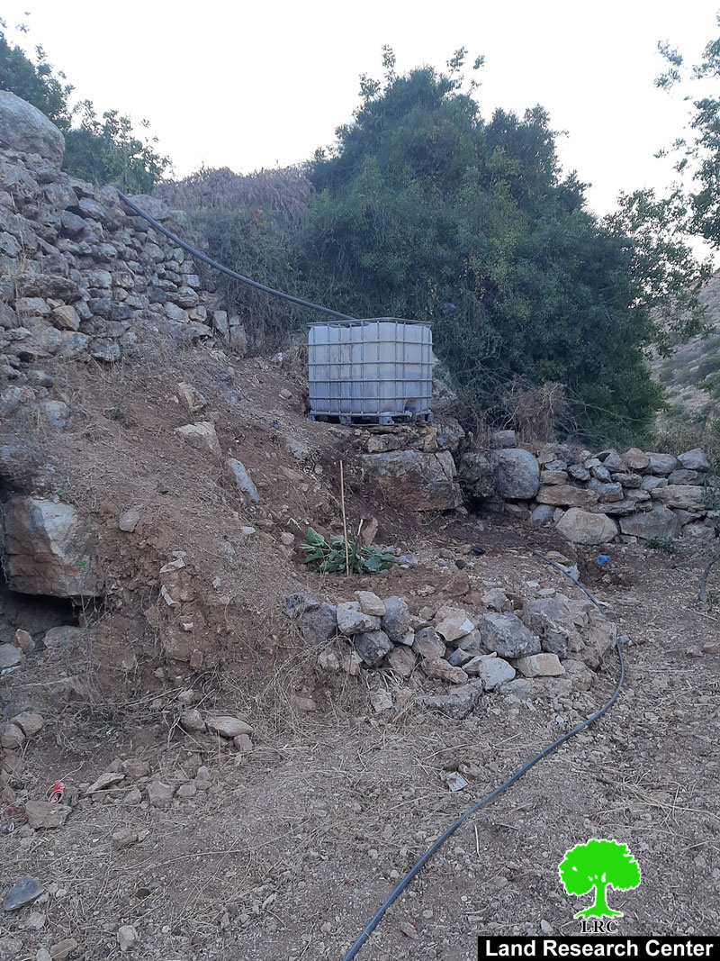 Cutting olive Saplings and Destroying Agricultural Properties in Wad Qana / Salfit Governorate