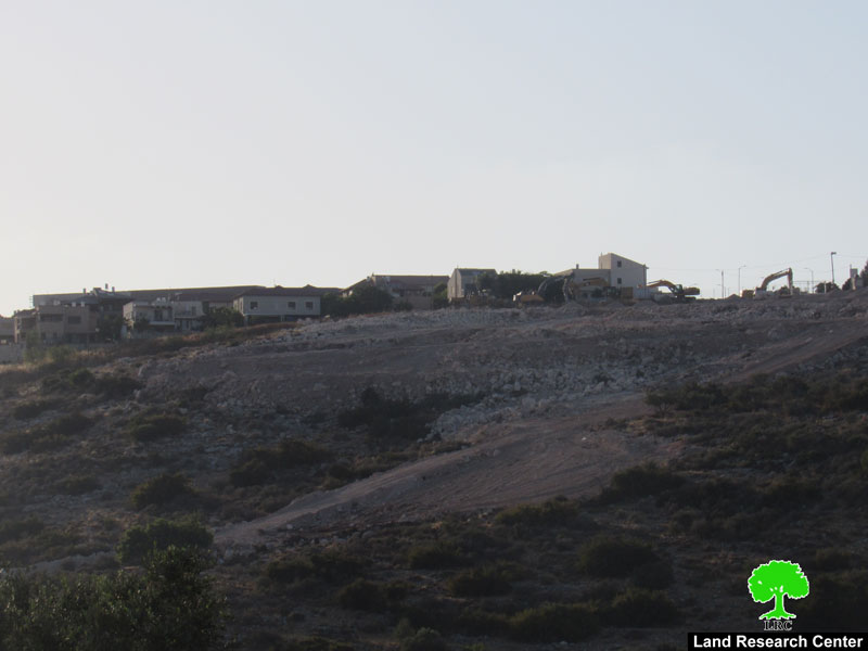 Tzufim Colonists Ravage Lands in Jayyous village / Qalqilya Governorate