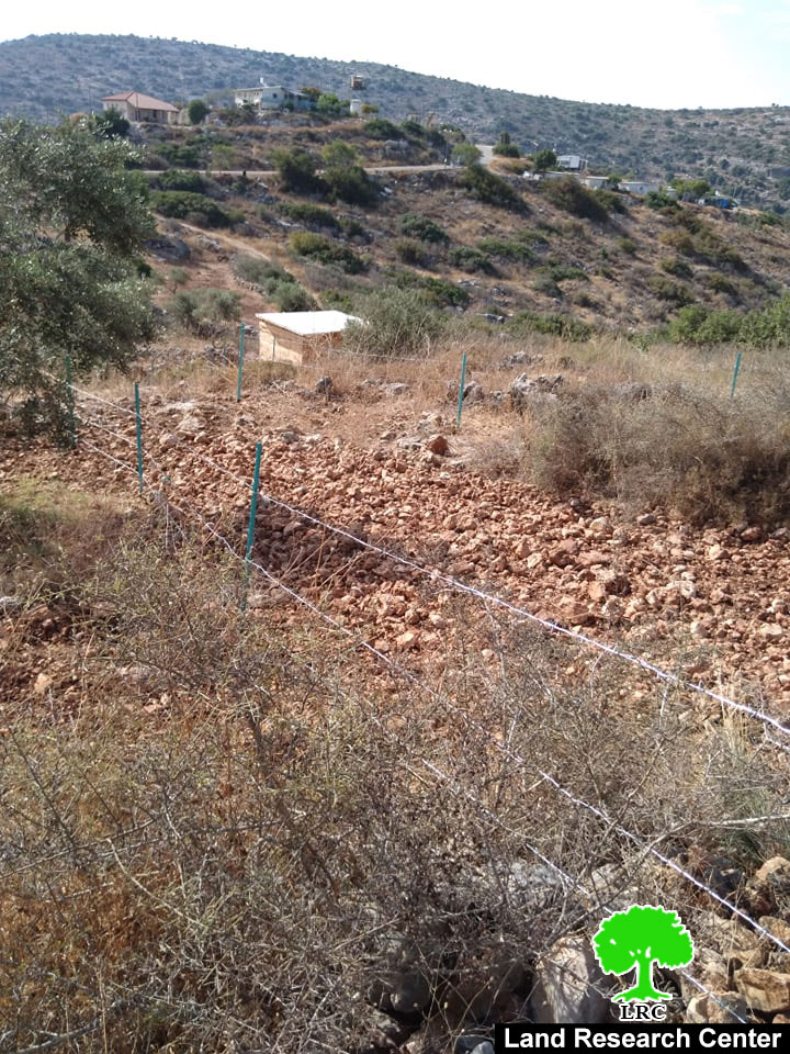 مستعمرو “المتان” يسيجون قطعة أرض بالقرب من المستعمرة في بلدة كفر ثلث / محافظة قلقيلية