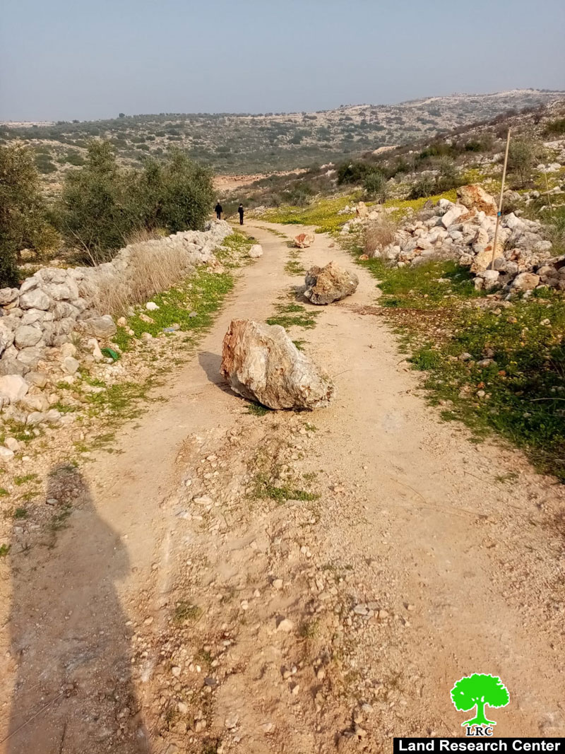 Ravaging Vast Areas of Postures in Khallet Hassan/ Salfit Governorate