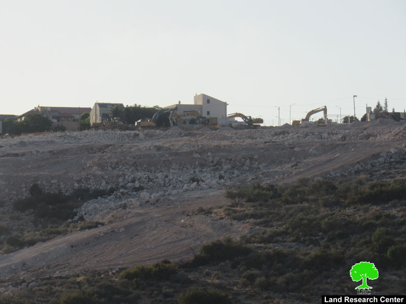 Tzufim Colonists Ravage Lands in Jayyous village / Qalqilya Governorate