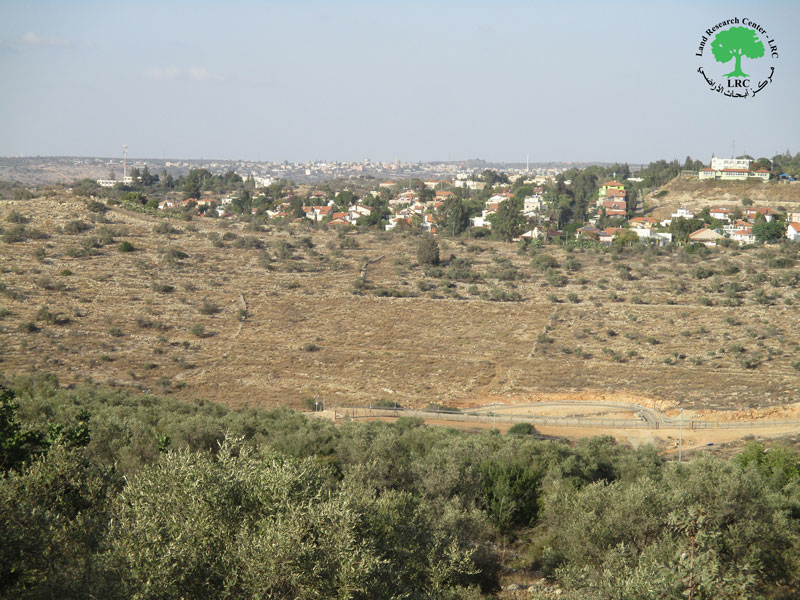 Immanuel Colony Expands on Jinsafut village lands / Qalqilya governorate