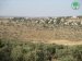 Immanuel Colony Expands on Jinsafut village lands / Qalqilya governorate