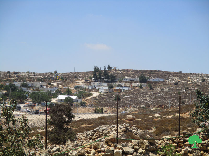 Residence Leveled in ‘Arab Ar-Ramadeen community/ Qalqilya Governorate