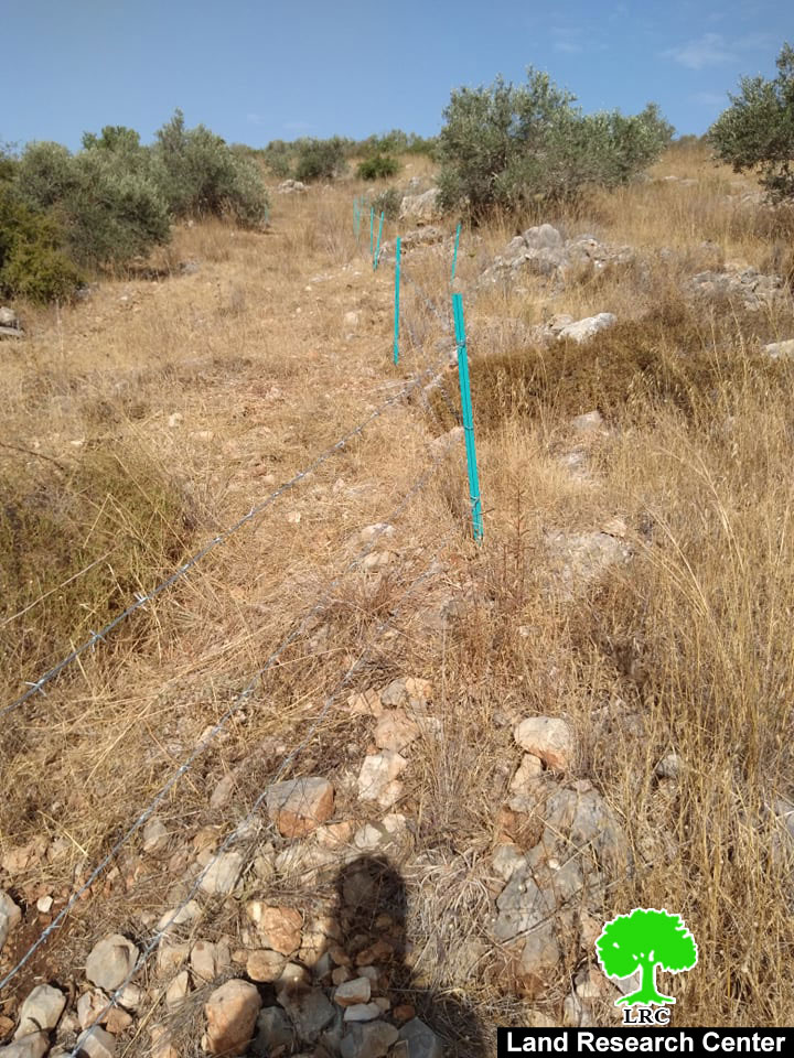 Al-Mattan Colonists installed a fence around a 2 dunums plot – Kafar Thulth / Qalqilya Governorate