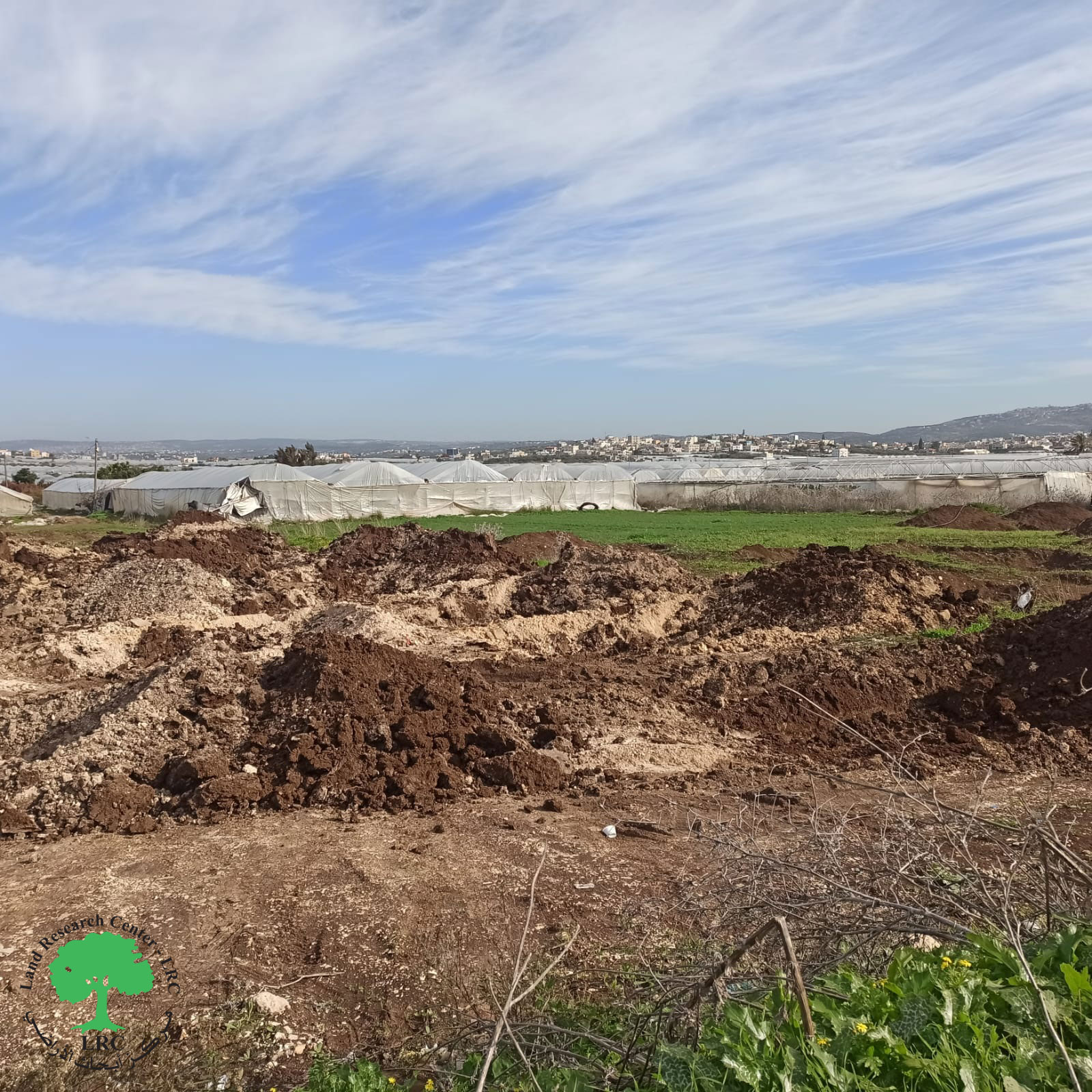 بذريعة قربها من الجدار الفاصل … الاحتلال يجرف قطعة أرض في بلدة دير الغصون / محافظة طولكرم