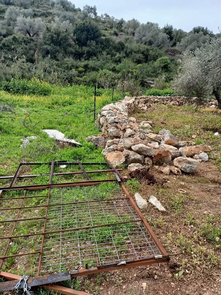 قطع وسرقة 60 غرسة عنب وتخريب سناسل حجرية في بلدة كفر الديك / محافظة سلفيت