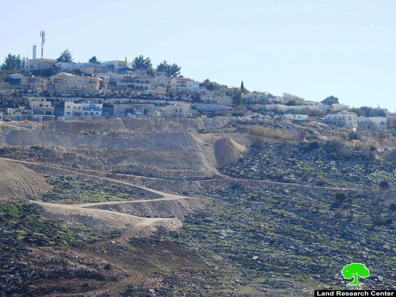 Negohot Illegal Colonists attack farmers and their farmlands in Fuqiqis village / South Hebron