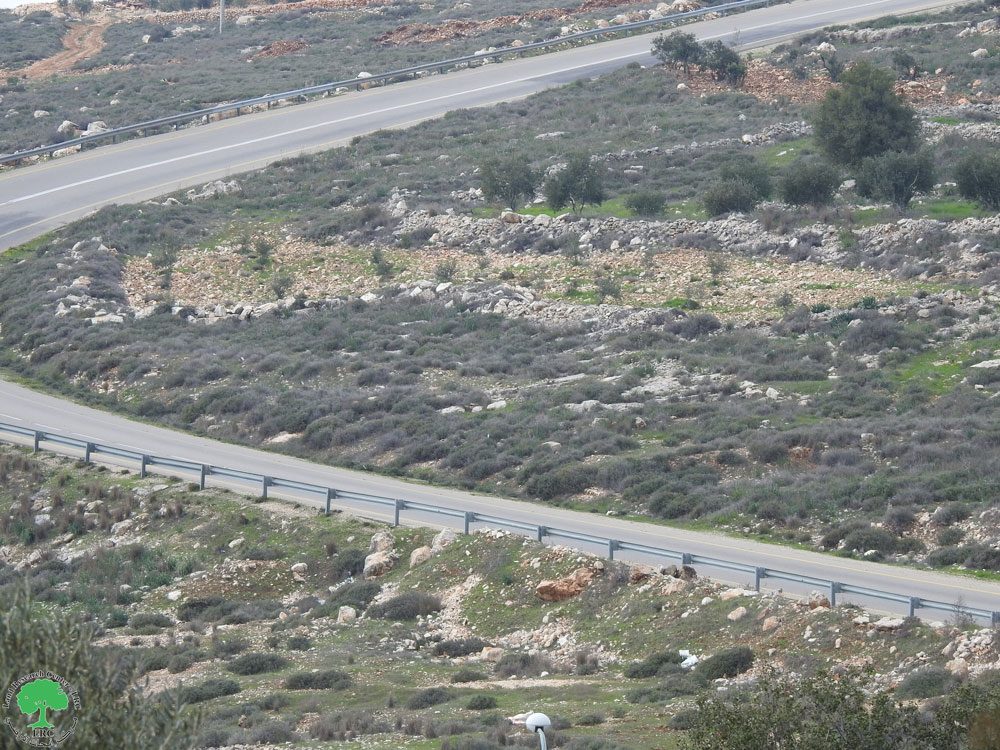 اخطار بإخلاء أرض زراعية في قرية الجبعة بمحافظة بيت لحم