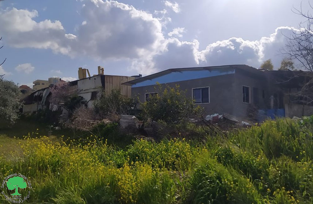 المستعمرون يسرقون أربعة خراف من مزرعة في بلدة سنجل بمحافظة رام الله