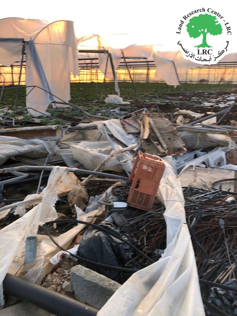 تدمير دفيئات زراعية على مساحة أربعة دونمات في بلدة جيوس / محافظة قلقيلية