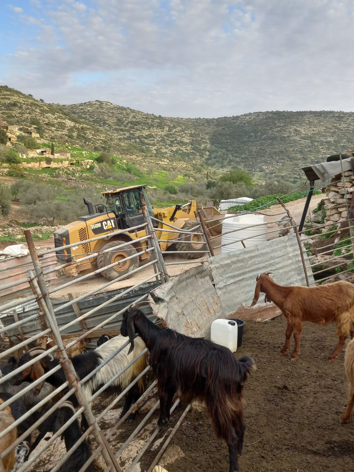 Illegal Colonists Rehabilitate a Road that leads to Al-Mattan outpost / Qalqilya Governorate