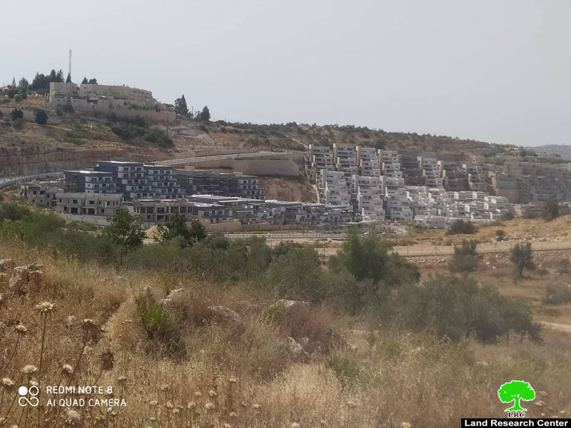 الاحتلال يصادق على اقامة مجلس اقليمي واحد لمستعمرتين جنوب شرق مدينة قلقيلية