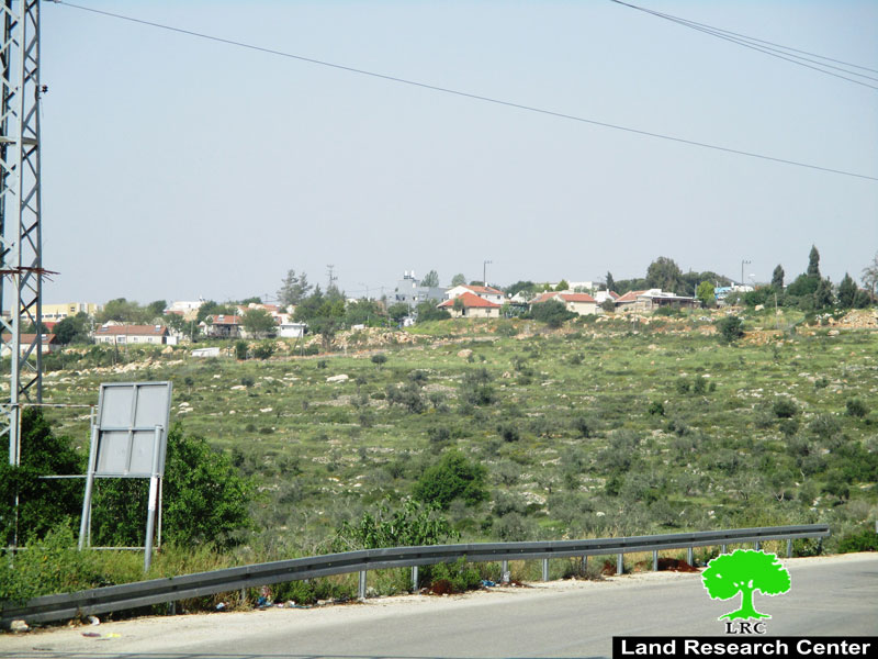 Four dunums of land seized and cultivated by the settlers in the town of Kafr ad-Dik, Salfit Governorate