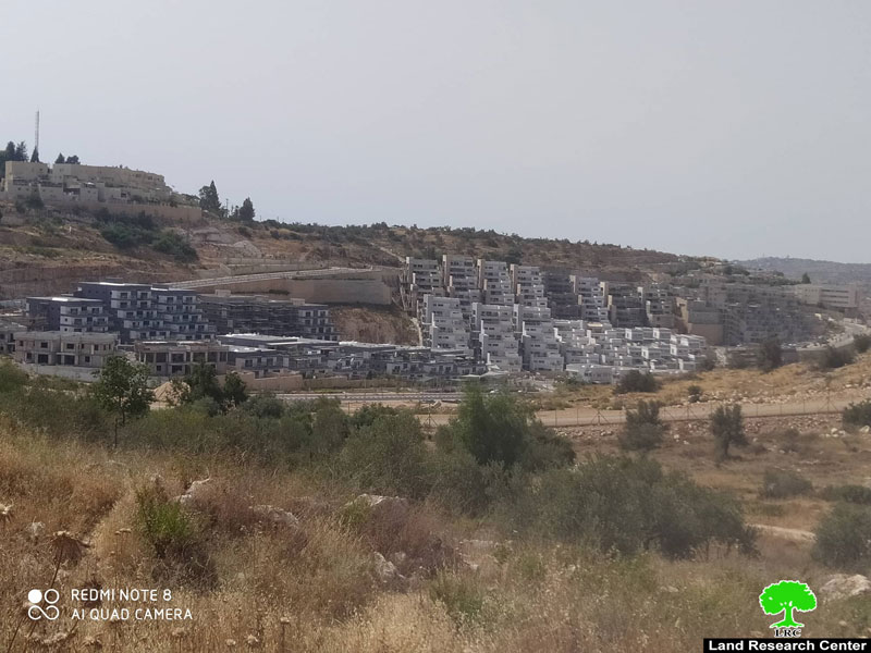 الاحتلال يصادق على اقامة مجلس اقليمي واحد لمستعمرتين جنوب شرق مدينة قلقيلية