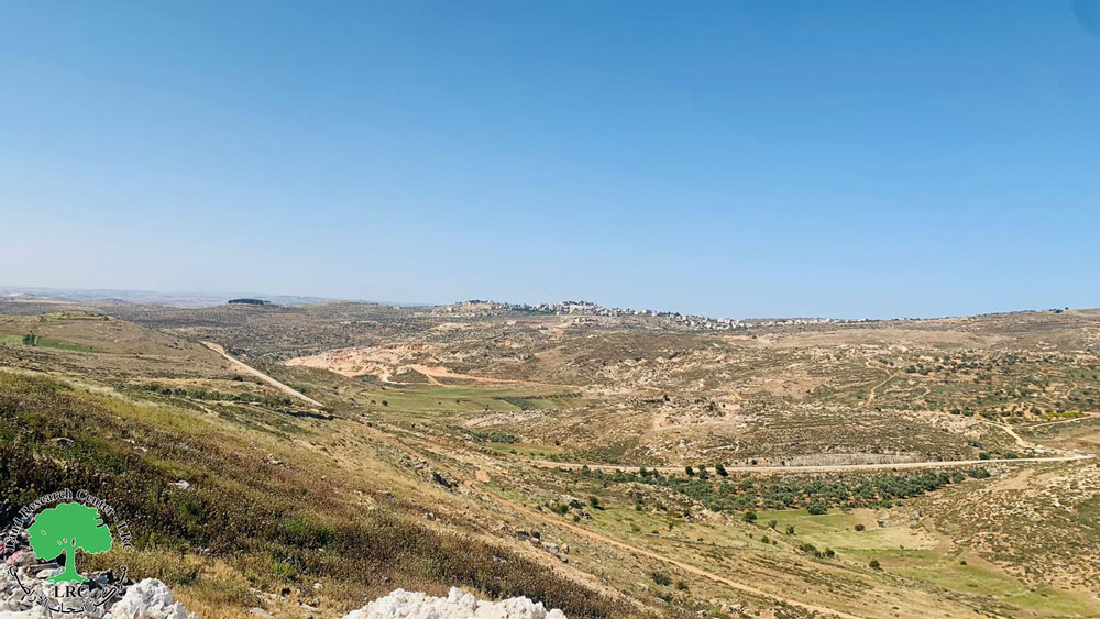 The settlers of Kokhav HaShahar steal 24 head of sheep in the village of Kafr Malik in Ramallah governorate.