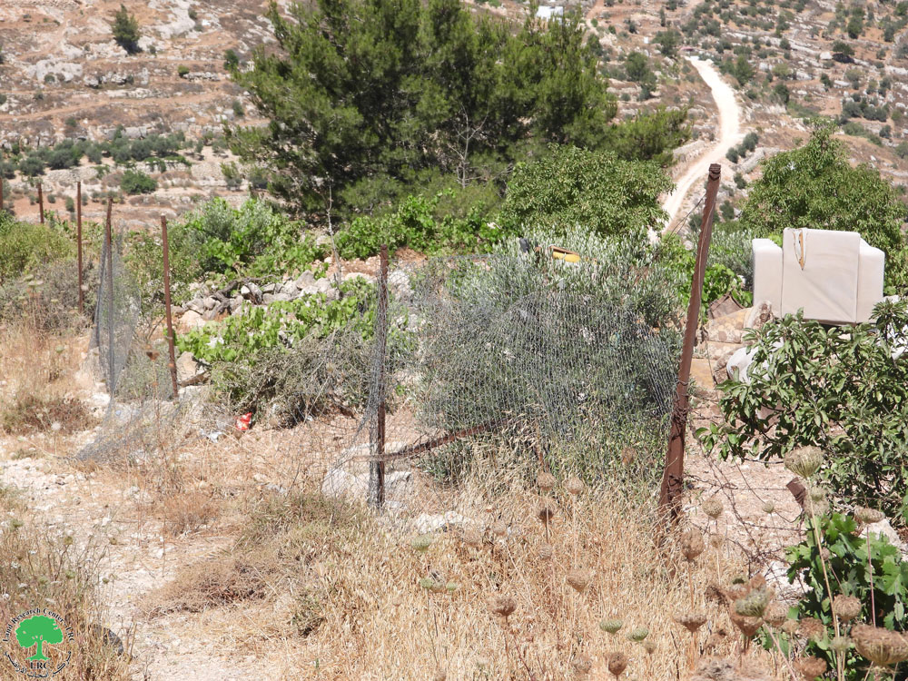 الاحتلال يهدم ويدمر غرف زراعية في بلدة نحالين / بمحافظة بيت لحم