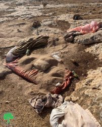 المستعمرون يعتدون على مزارعين في خربة الدالية في محافظة رام الله والبيرة