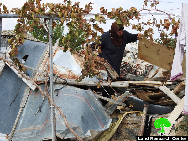 الاحتلال يهدم مساكن ومنشآت زراعية في الطيبة شرق ترقوميا بمحافظة الخليل