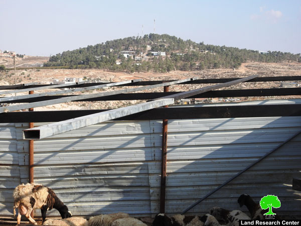 الاحتلال يوقف العمل في منشأة زراعية ويصادر عدد يدوية في التواني جنوب الخليل