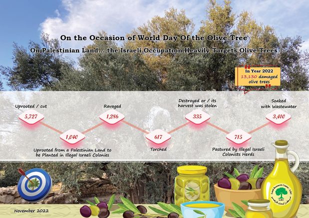FACTSHEET: The World Day of the Olive Tree