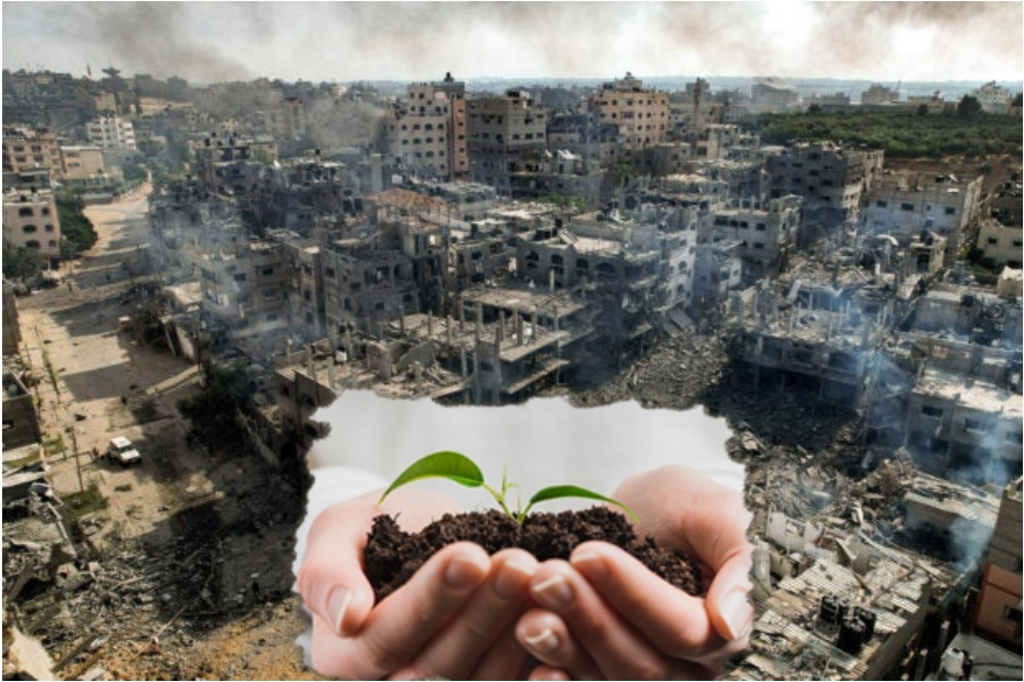 الواقع البيئي في قطاع غزه المحتل في ظل الحرب الإسرائيلية المسعورة