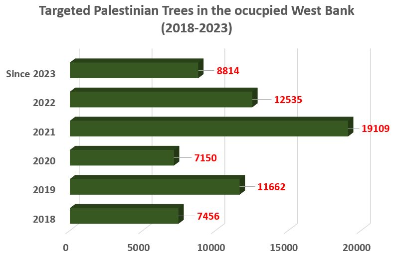 Olive Tree Production in occupied Palestine Amidst Israeli occupation and climate change