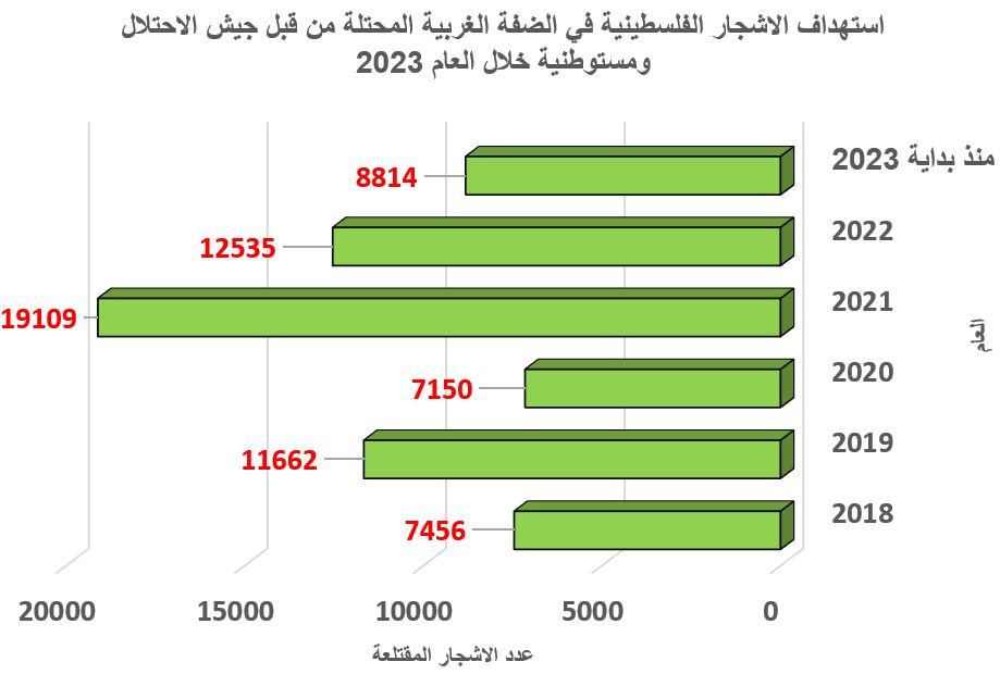 معاناة شجرة الزيتون الفلسطينية بسبب الاحتلال والاستيطان في العام 2023