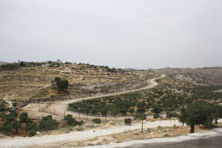 الذهب الأخضر (زيت الزيتون) الأكثر ندرة هذا الموسم في ظل الاحتلال الاسرائيلي والتغير المناخي