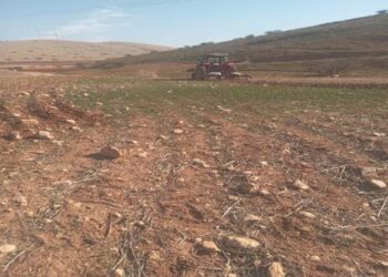 حرائق متعمدة تفتك بالأراضي الزراعية في عاطوف