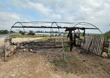 سياسة ممنهجة: مستوطنون يحرمون عائلة فقها من مصدر رزقها بهجمات متكررة على بسطتهم على خط 90