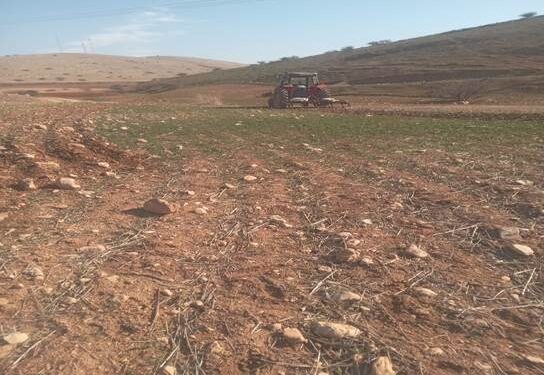 حرائق متعمدة تفتك بالأراضي الزراعية في عاطوف