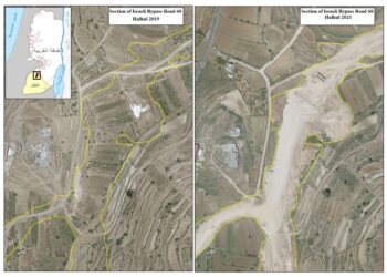 Palestinian Trees … Victims of the Israeli Occupation Army and Settler groups in 2025
