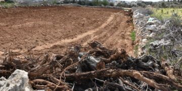 الاحتلال الإسرائيلي يستهدف مشاريع تنموية في قرية جورة الشمعة جنوب شرق بيت لحم