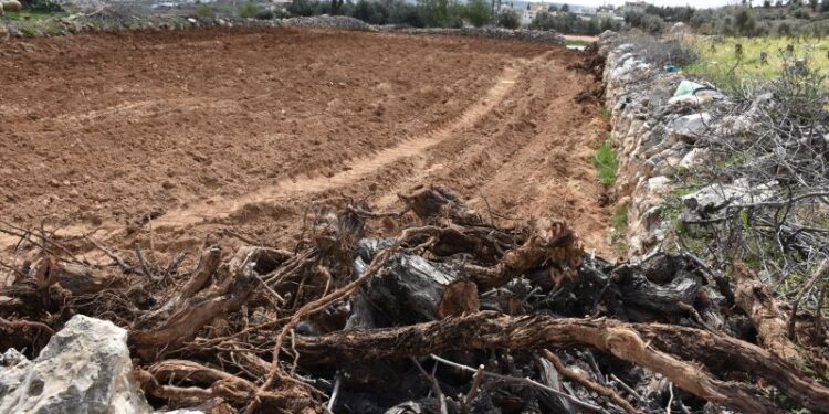 الاحتلال الإسرائيلي يستهدف مشاريع تنموية في قرية جورة الشمعة جنوب شرق بيت لحم