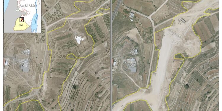 Palestinian Trees … Victims of the Israeli Occupation Army and Settler groups in 2025